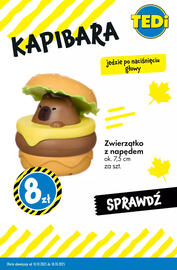 Tedi gazetka Strona 10
