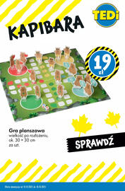Tedi gazetka Strona 11