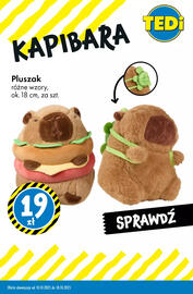 Tedi gazetka Strona 2