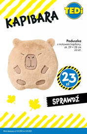 Tedi gazetka Strona 3