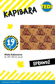 Tedi gazetka Strona 6