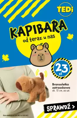 Tedi gazetka (ważność do 18-10)