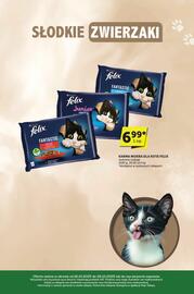 ABC gazetka | E-katalog Strona 31