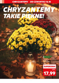 Kaufland gazetka tydzień 42 Strona 2