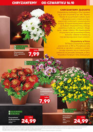 Kaufland gazetka tydzień 42 Strona 3