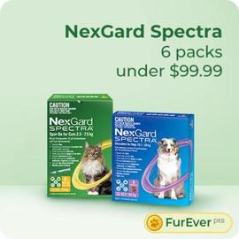 Budget Pet Products catalogue Page 1