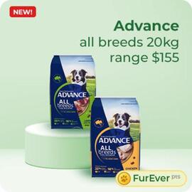 Budget Pet Products catalogue Page 2