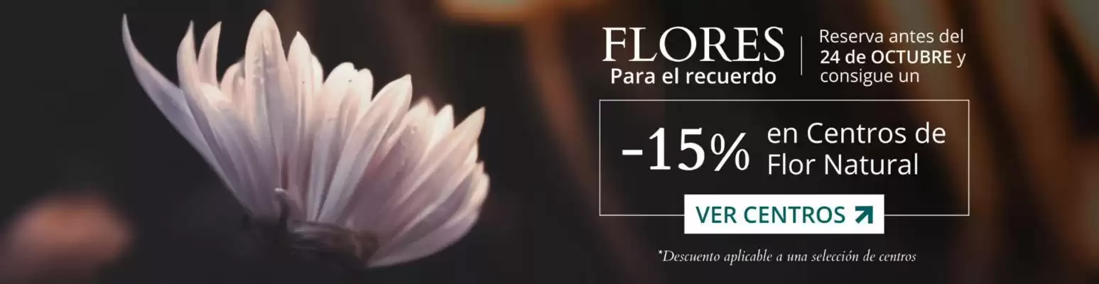 Catálogo Verdecora (válido hasta el 24-10)