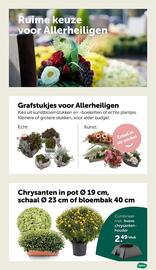 AVEVE folder Pagina 16