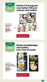 AVEVE folder Pagina 27