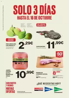 Catálogo El Corte Inglés (válido hasta el 16-10)