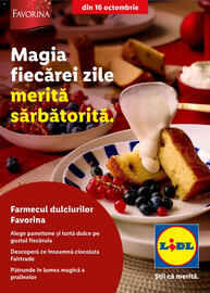 Catalog Lidl Pagină 1