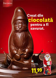 Catalog Lidl Pagină 20
