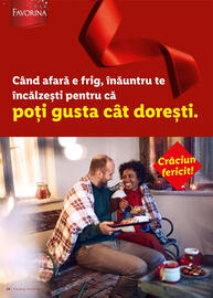 Catalog Lidl Pagină 28