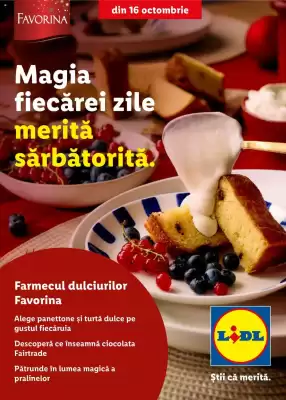 Catalog Lidl (valid până la 31-12)