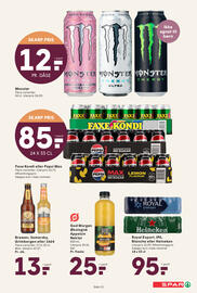 SPAR tilbudsavis uge 42 Side 13