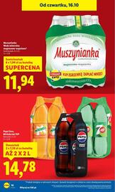 Lidl gazetka Strona 10