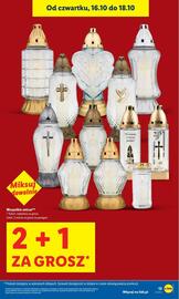 Lidl gazetka Strona 13