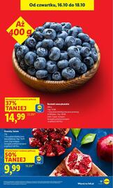 Lidl gazetka Strona 21