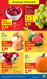 Lidl gazetka Strona 23