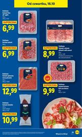 Lidl gazetka Strona 33