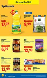 Lidl gazetka Strona 52