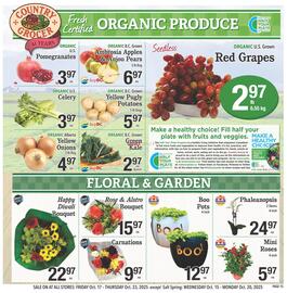 Country Grocer flyer week 42 Page 15