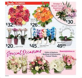 Fortinos flyer week 42 Page 23