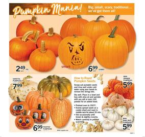 Fortinos flyer week 42 Page 3