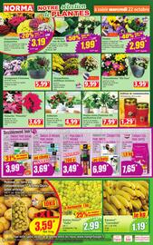 Catalogue Norma semaine 43 page 4