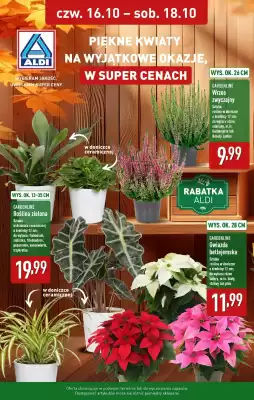 ALDI gazetka (ważność do 18-10)