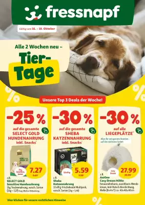 Fressnapf Flugblatt (gültig bis 18-10)