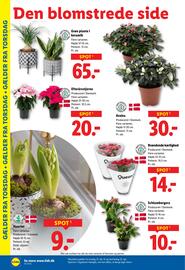 Lidl tilbudsavis uge 43 Side 30