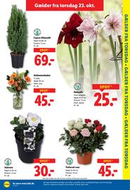Lidl tilbudsavis uge 43 Side 31