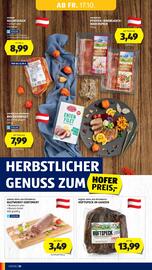 Hofer Flugblatt woche 42 Seite 12