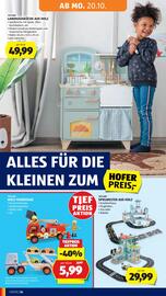 Hofer Flugblatt woche 42 Seite 28