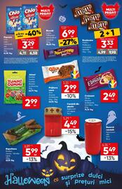 Catalog PROFI Pagină 10