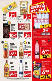 Catalog PROFI Pagină 11