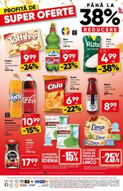 Catalog PROFI Pagină 16