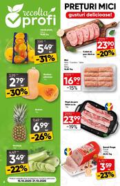 Catalog PROFI Pagină 6