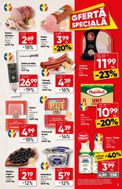 Catalog PROFI Pagină 7