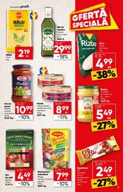 Catalog PROFI Pagină 7