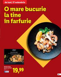 Catalog Lidl Pagină 41