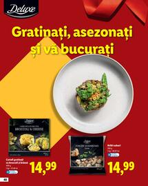 Catalog Lidl Pagină 48
