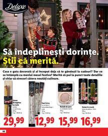 Catalog Lidl Pagină 66