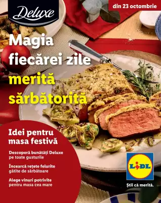 Catalog Lidl (valid până la 31-12)
