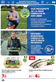 Catalog Carrefour Pagină 19
