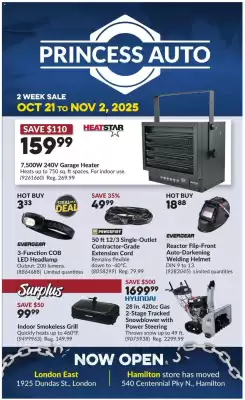 Princess Auto flyer