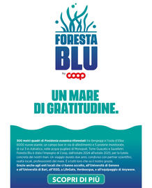 Volantino Ipercoop Pagina 38