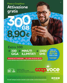 Volantino Ipercoop Pagina 39